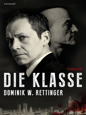 cover image of Die Klasse